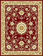 Rich Floral Vine Border Accents Rug