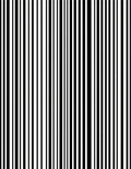 Bold Black White Vertical Stripe Design Rug
