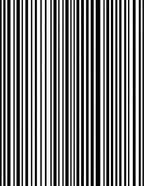 Bold Black White Vertical Stripe Design Rug