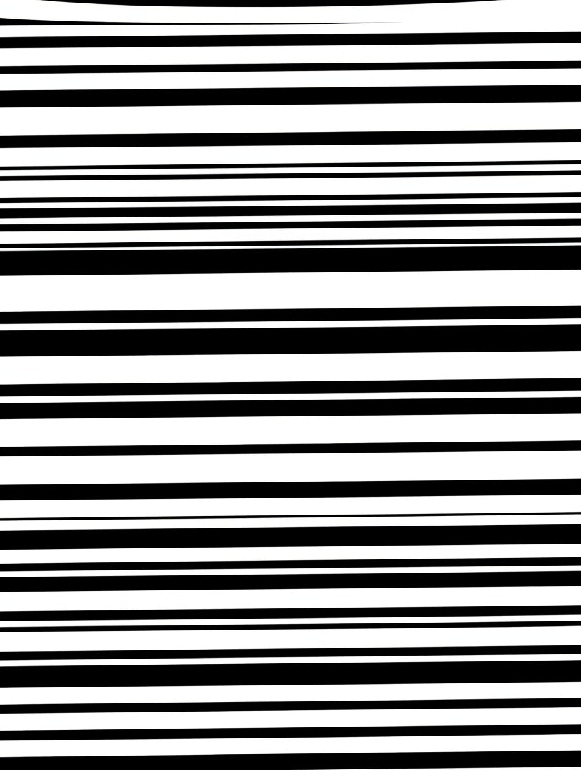 Classic Black White Line Pattern Rug