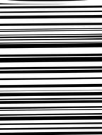 Classic Black White Line Pattern Rug