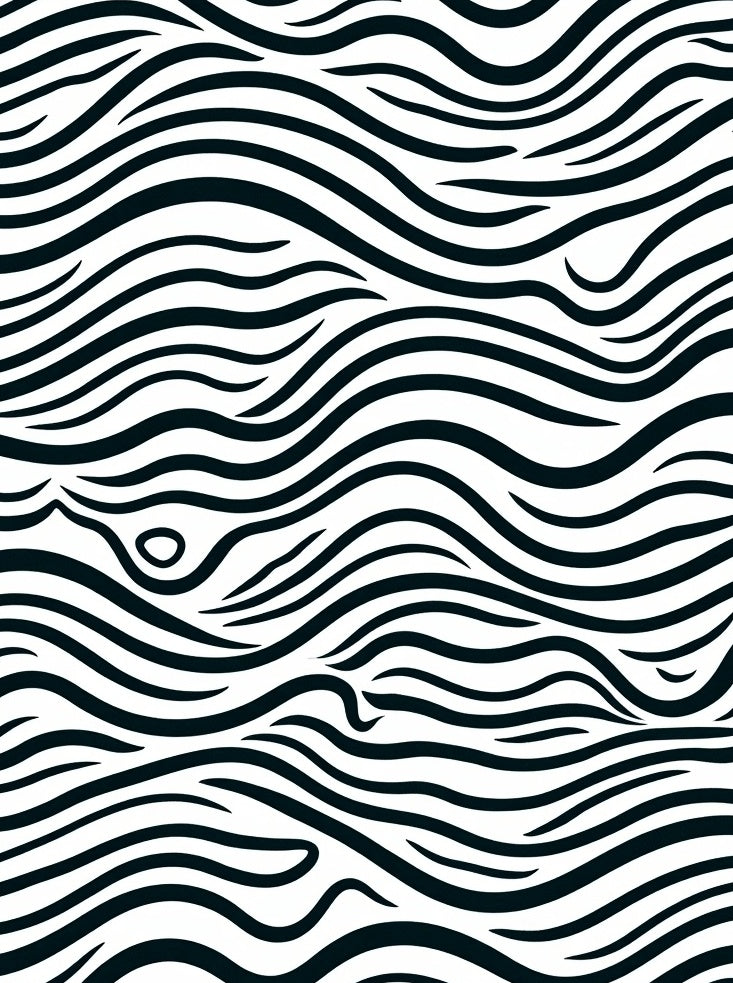 Bold Black Zebra Stripe Pattern Rug
