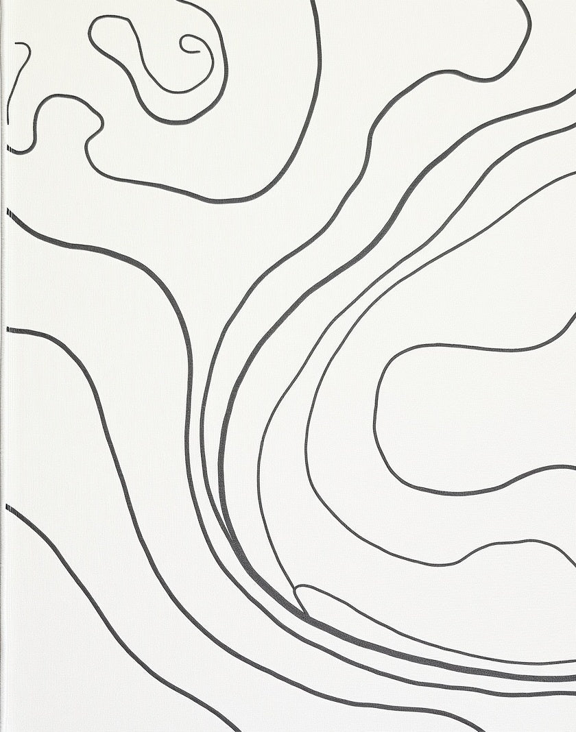 Abstract Flowing Lines Monochromatic Design Rug