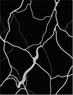 Abstract Black White Vein Rug