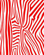Bold Red Zebra Stripes Textural Rug