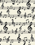 Musical Notes Staff Pattern Rug