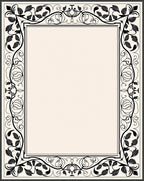 Black Vine And Leaf Intricate Border Rug