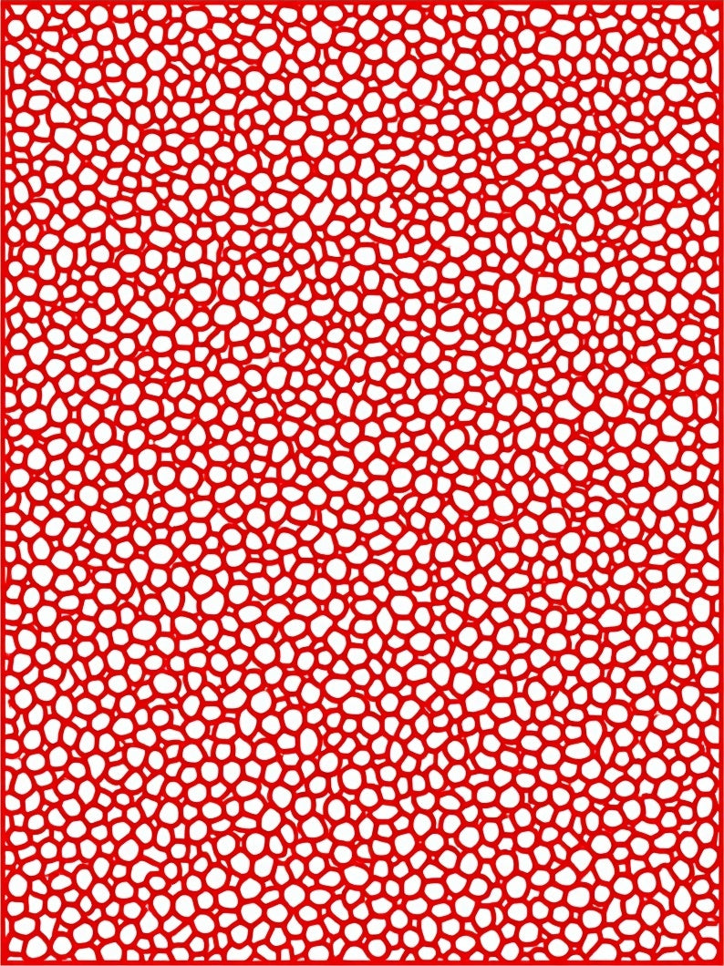 Bold Red Cell Pattern Texture Rug