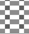 Classic Black White Checkered Pattern Rug