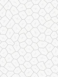Geometric Cracked Lines Pattern Rug