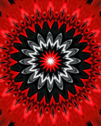 Radial Red Black White Abstract Pattern Rug