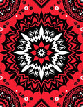 Bold Red Starburst Mandala Rug