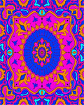 Vibrant Magenta Blue Floral Medallion Rug