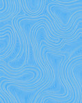 Abstract Blue White Swirl Pattern Rug