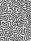 Bold Black White Maze Pattern Rug
