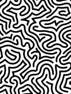 Bold Black White Maze Pattern Rug