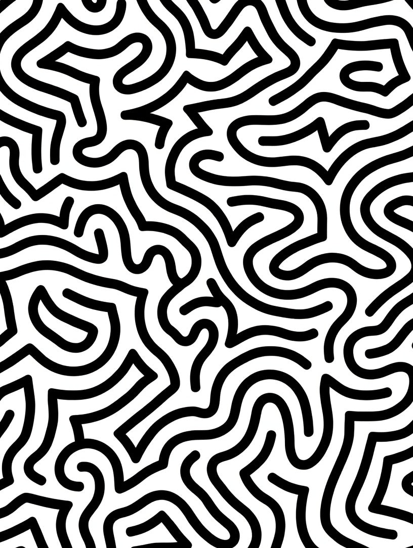 Bold Black White Maze Pattern Rug