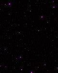 Cosmic Stars Pattern Rug