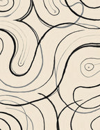 Abstract Swirls With Bold Lines Rug