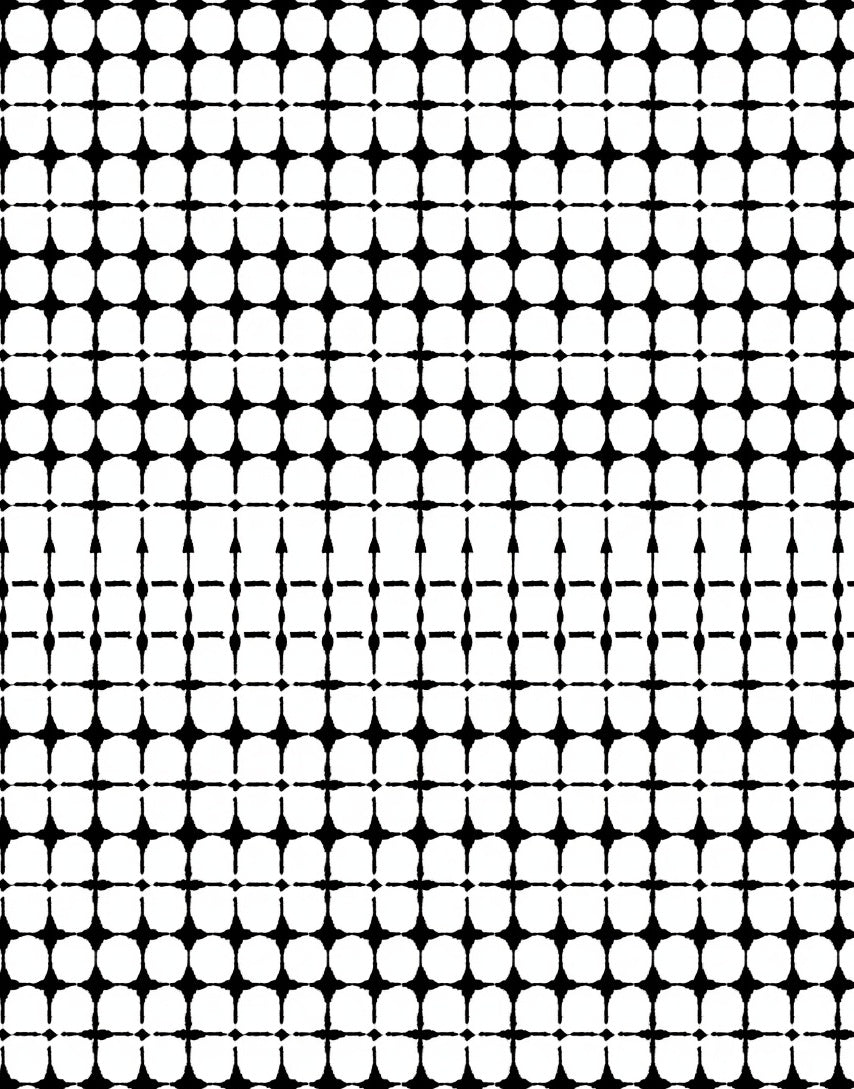 Bold Black White Geometric Pattern Rug