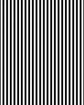 Bold Black White Stripped Pattern Rug
