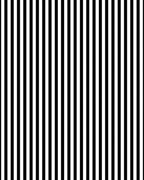 Bold Black White Stripped Pattern Rug