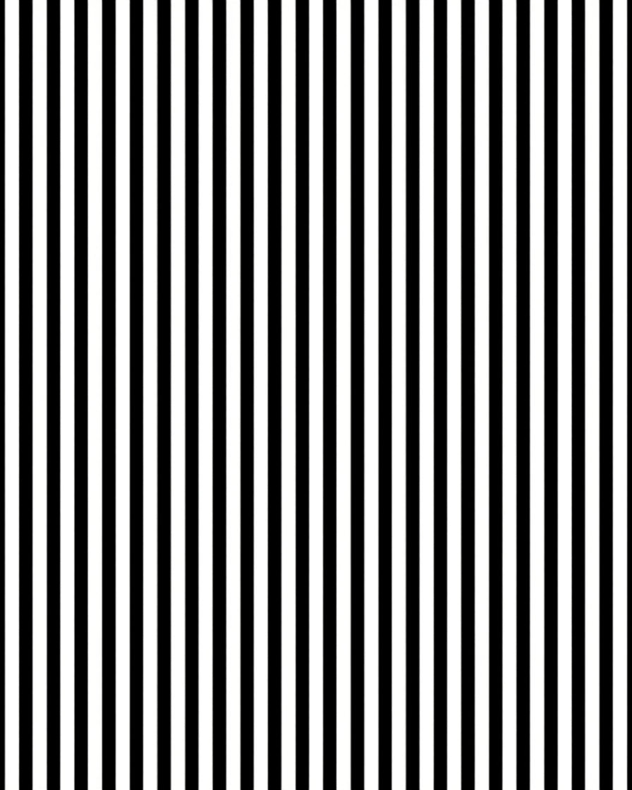 Bold Black White Stripped Pattern Rug
