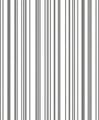 Black White Vertical Stripes Accent Rug
