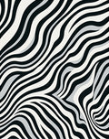 Dynamic Zebra Stripe Pattern Rug