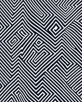 Striking Black White Geometric Maze Rug