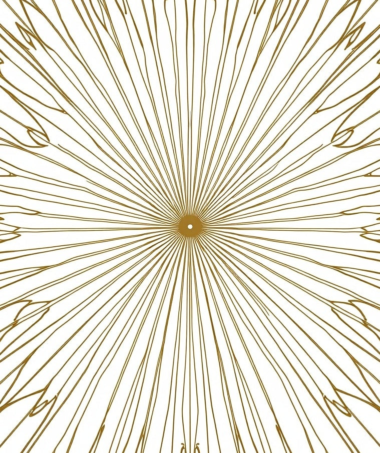 Radiant Starburst Detailed Line Art Design Rug