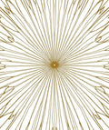 Radiant Starburst Detailed Line Art Design Rug