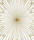 Radiant Starburst Detailed Line Art Design Rug