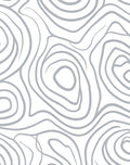 Gray Abstract Flowing Lines Rug