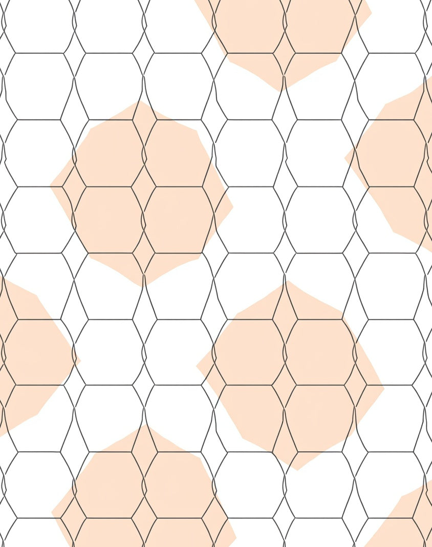 Soft Peach Geometric Honeycomb Pattern Rug