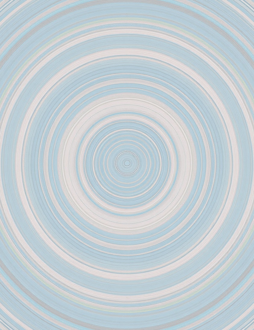 Pale Blue White Concentric Circles Pattern Rug