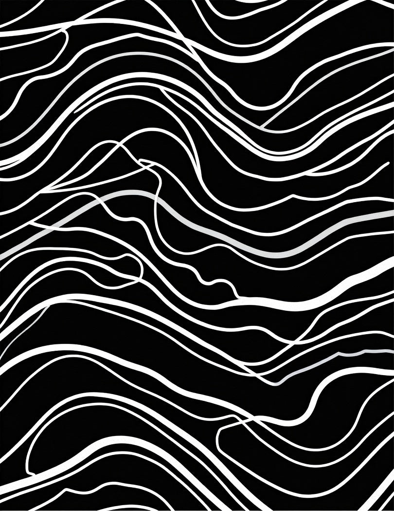 Abstract Black White Swirls Pattern Rug