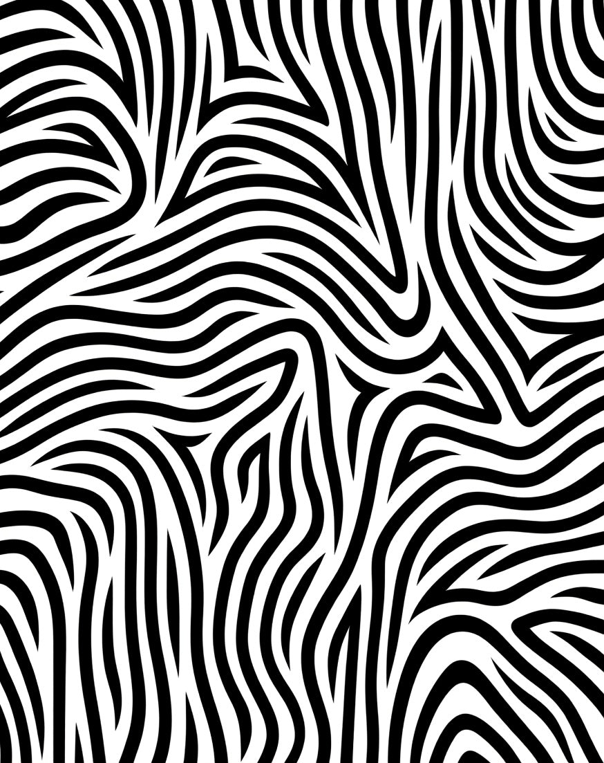Bold Black White Swirling Lines Rug