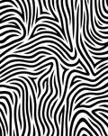 Bold Black White Swirling Lines Rug