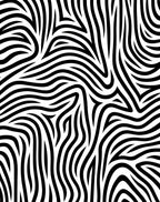 Bold Black White Swirling Lines Rug