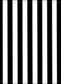 Bold Vertical Stripe Design Rug