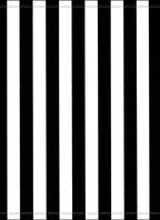Bold Vertical Stripe Design Rug