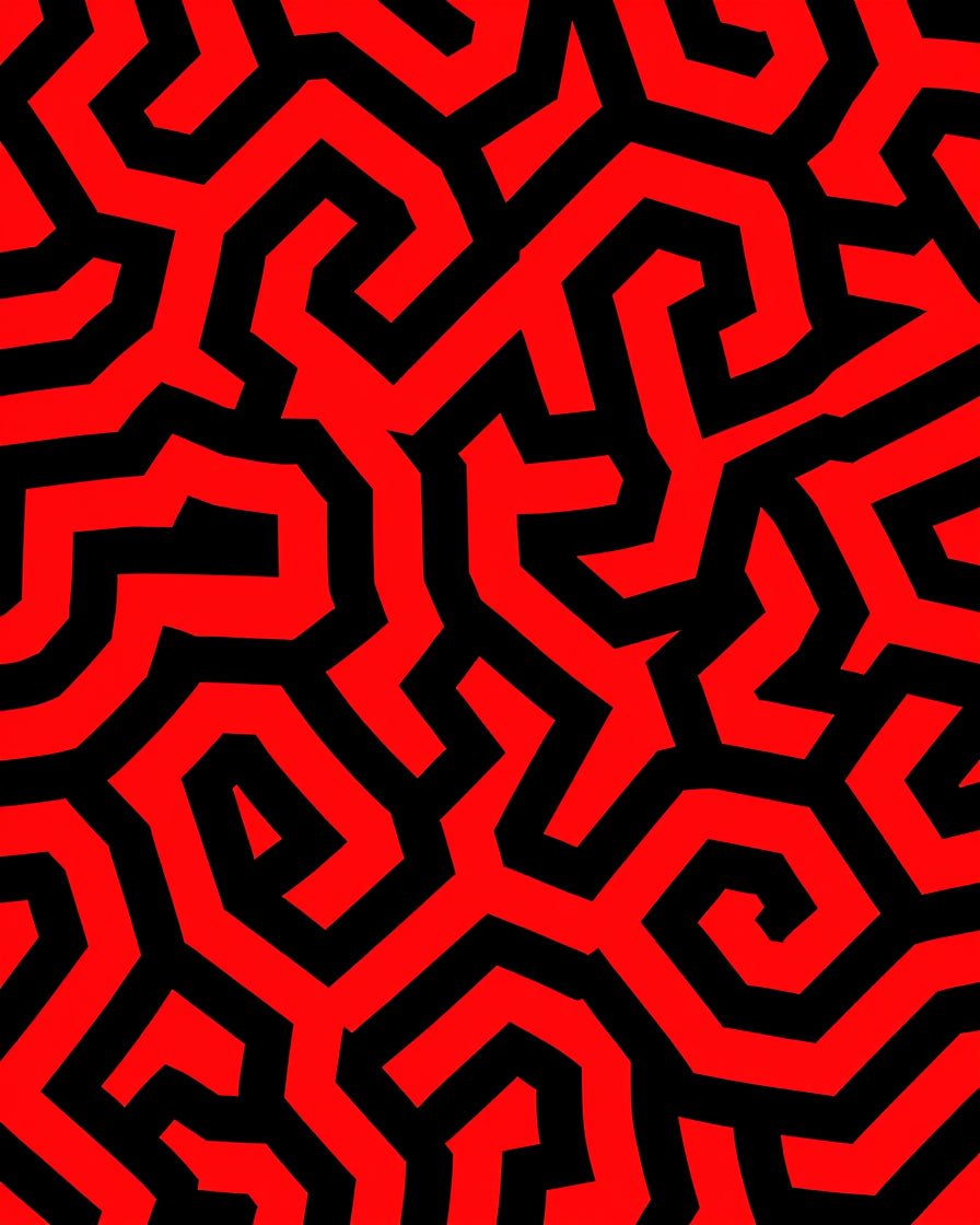 Bold Red Black Maze Pattern Rug