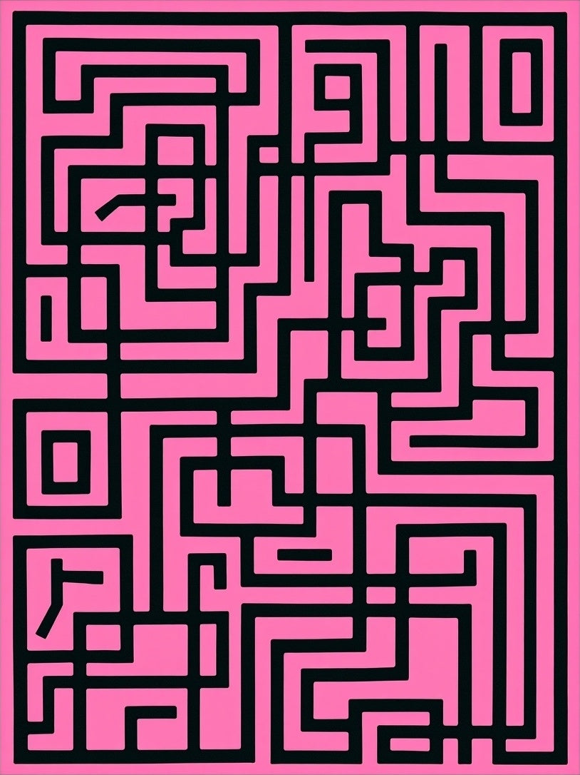 Pink Black Labyrinth Graphic Rug