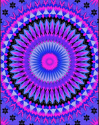 Vibrant Pink Blue Floral Mandala Rug