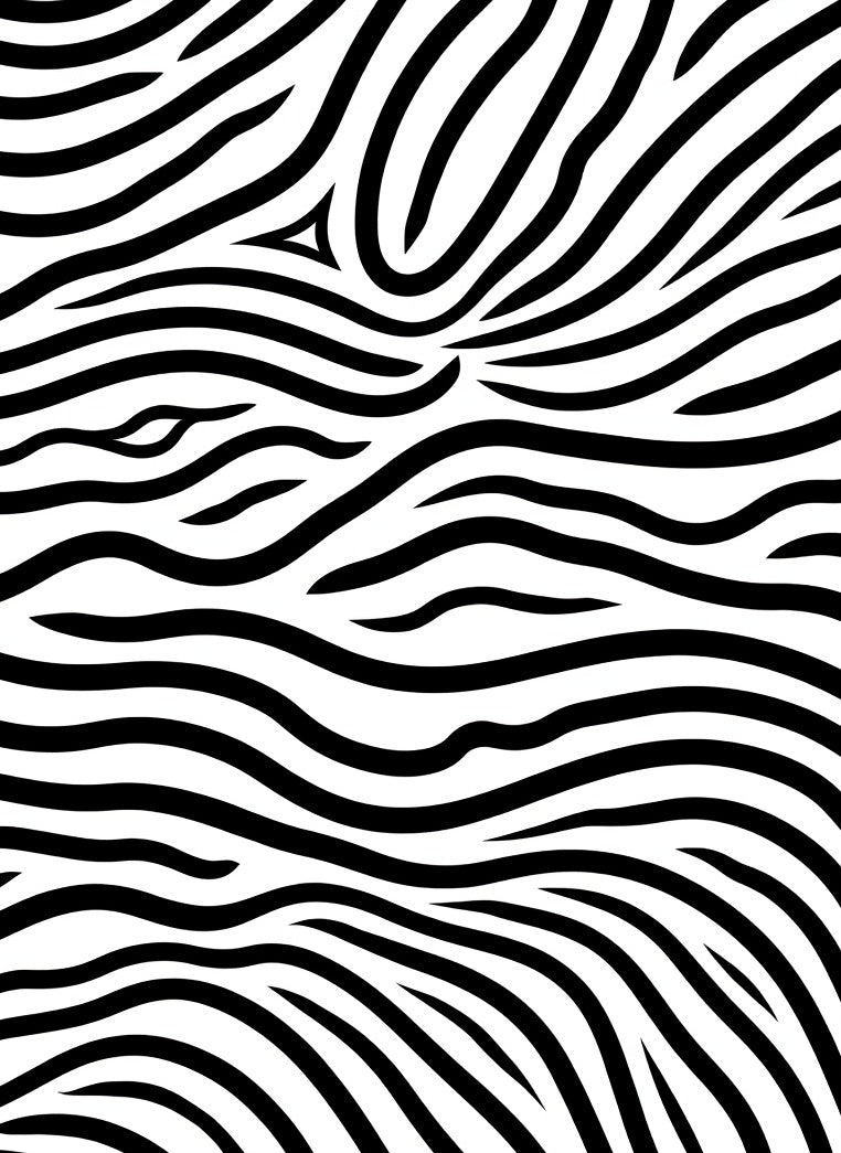Bold Zebra Style Stripped Pattern Rug