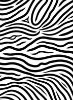 Bold Zebra Style Stripped Pattern Rug