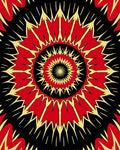 Radiant Sunburst Geometric Pattern Rug