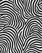 Bold Black White Zebra Stripes Rug