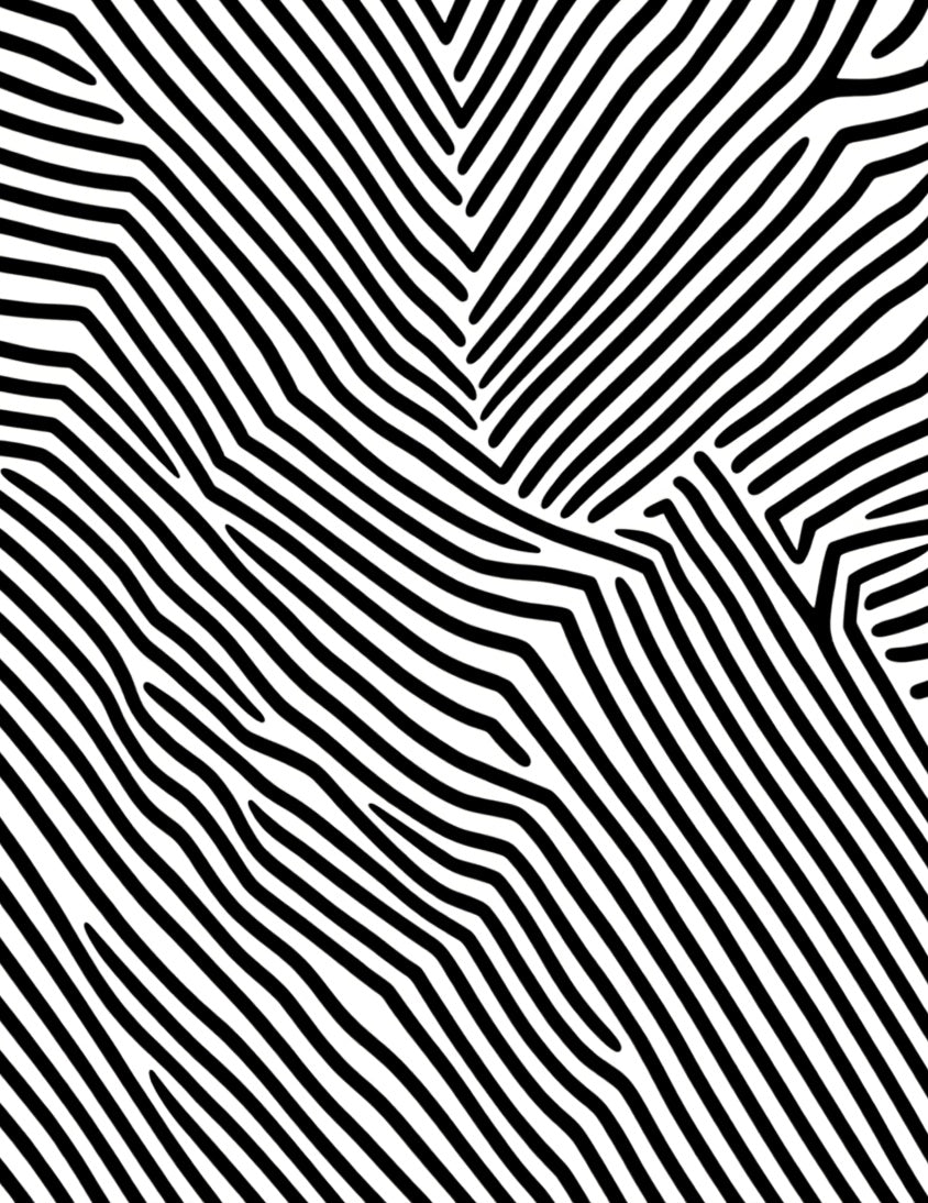 Abstract Black and White Linear Pattern Rug